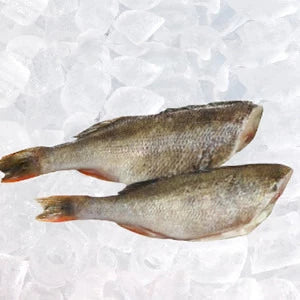 IMPERIAL-KOŁOBRZEG Okoń tusza 1 kg