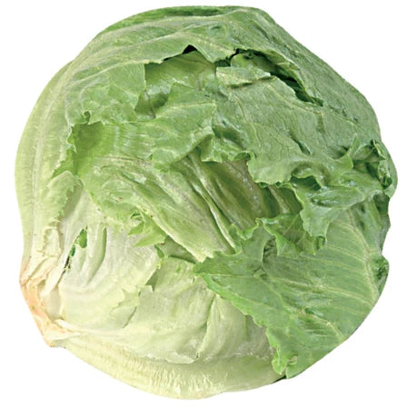 SAŁATA LODOWA 1 szt.