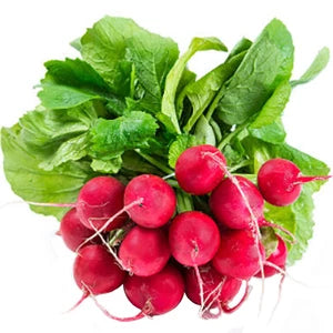 RZODKIEWKA PĘCZEK 1 szt.