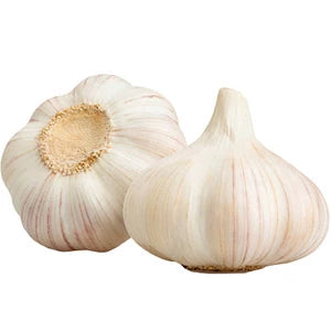 CZOSNEK Główka 1 szt.